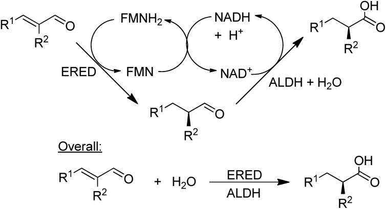 Scheme 13