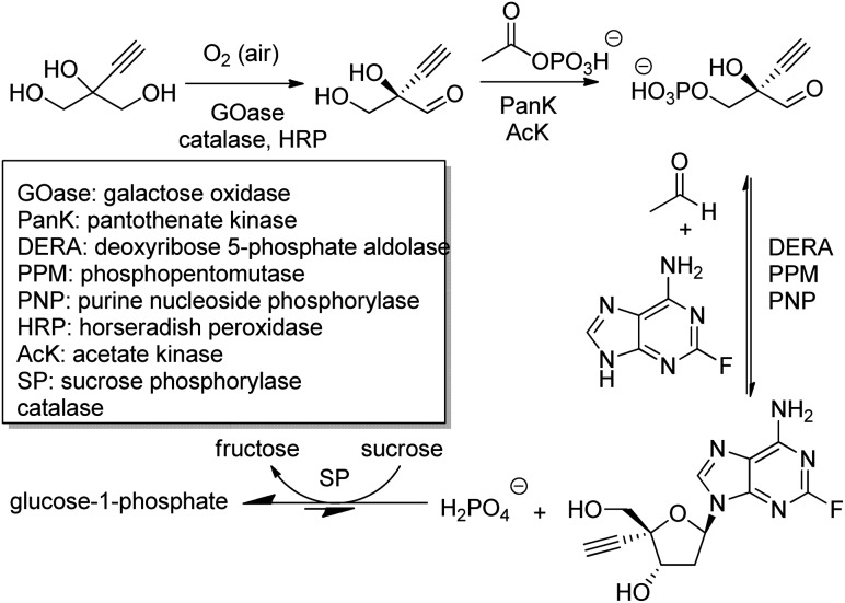 Scheme 21