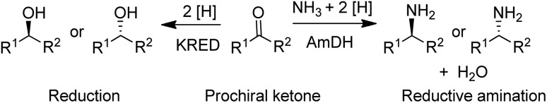 Scheme 3