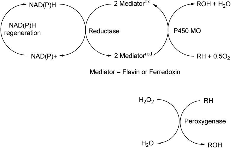 Scheme 16