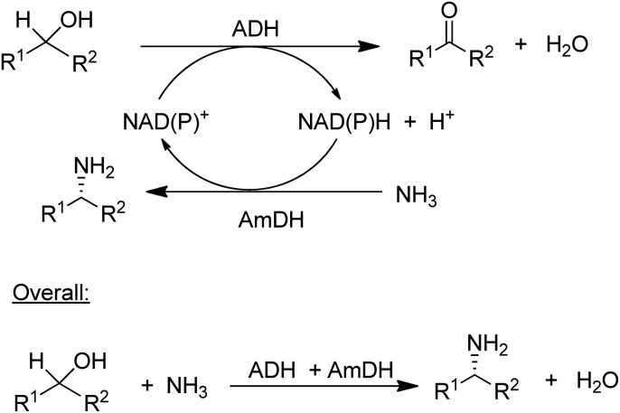 Scheme 8