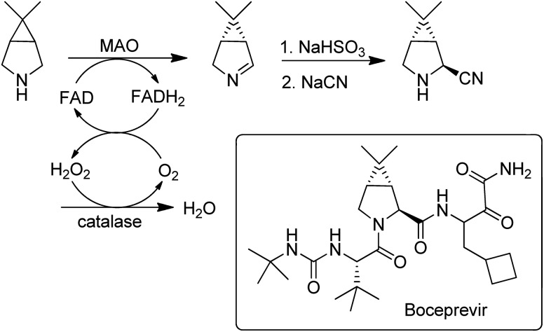 Scheme 15