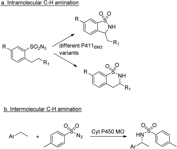 Scheme 23