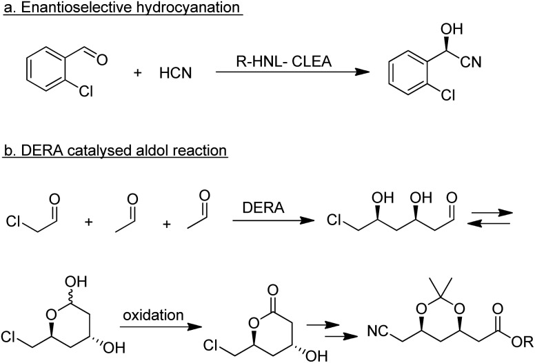 Scheme 19