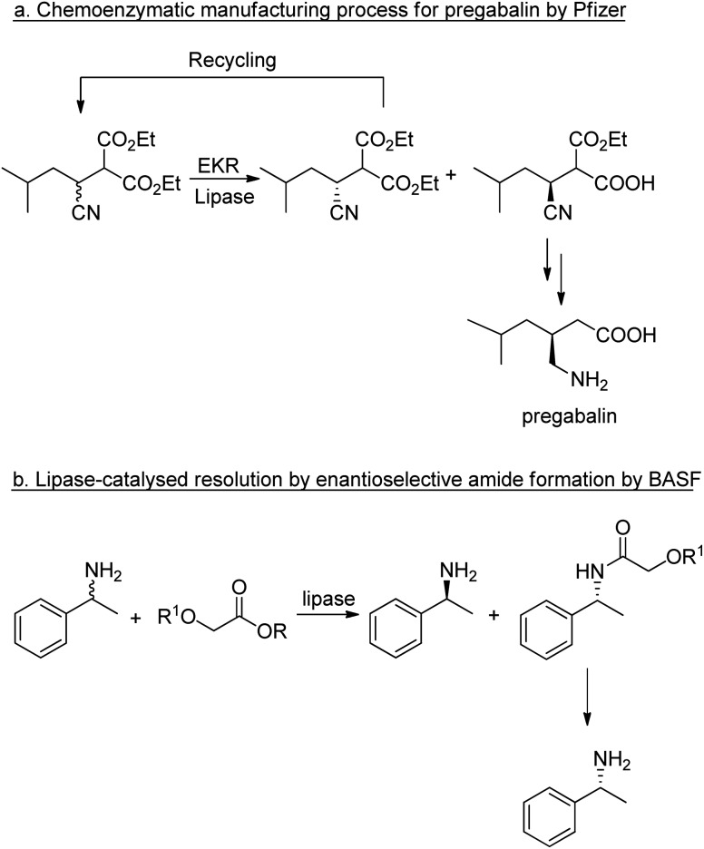 Scheme 2