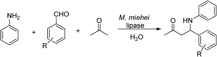 Scheme 27