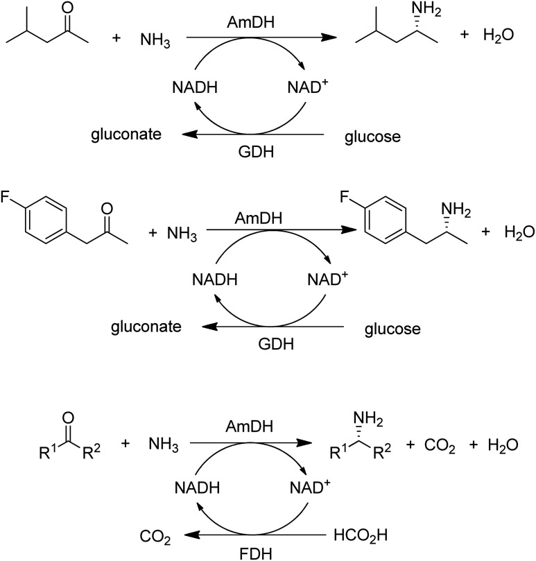 Scheme 6