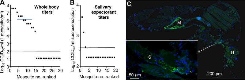 FIG 4 