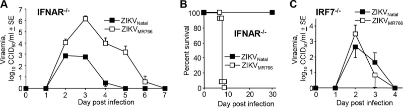 FIG 2 