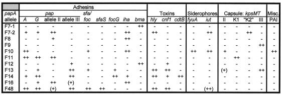 FIG. 5