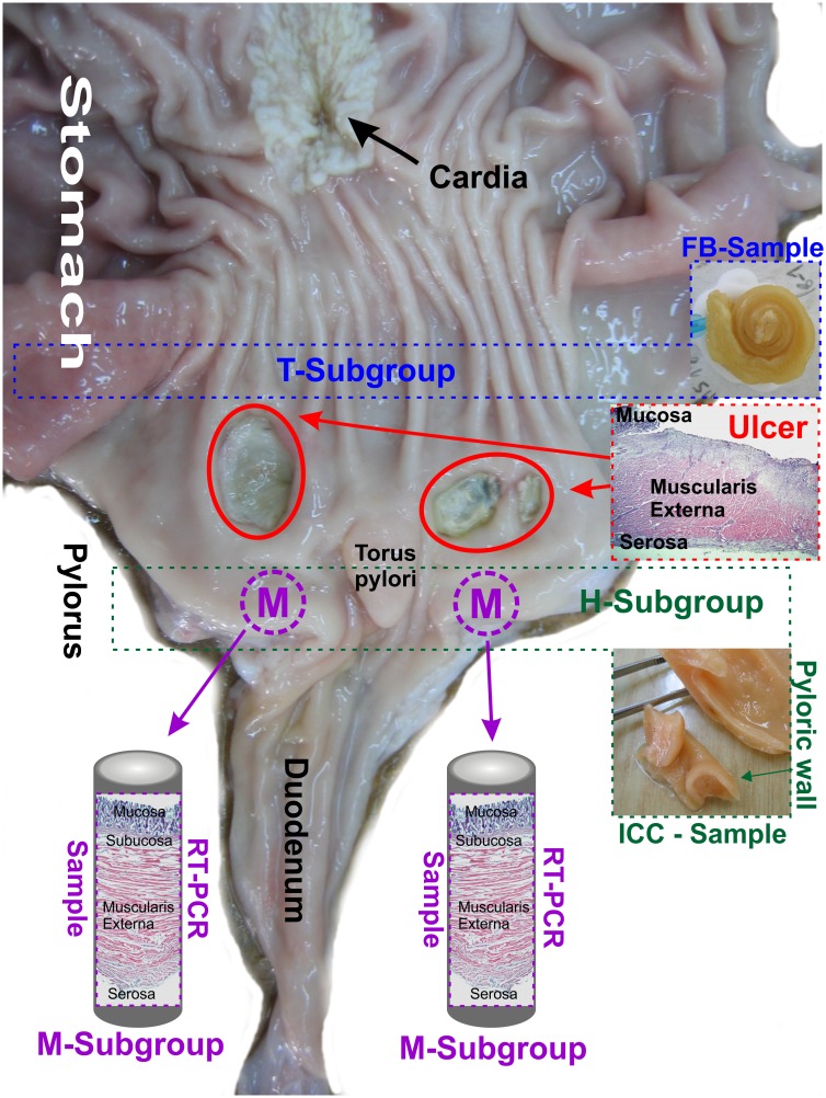 Fig 1