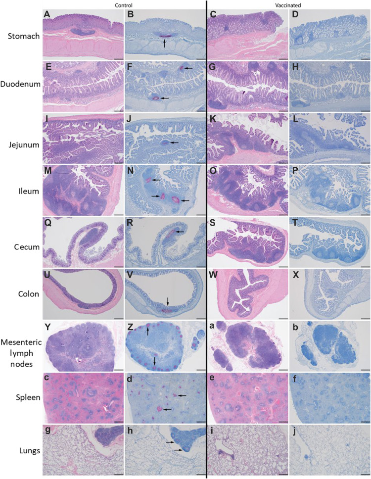 Fig. 3.