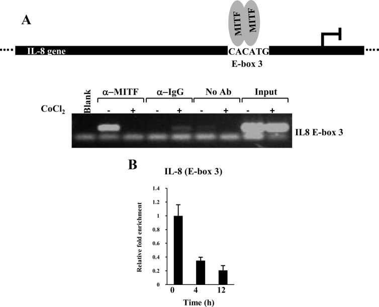 Fig. 10.