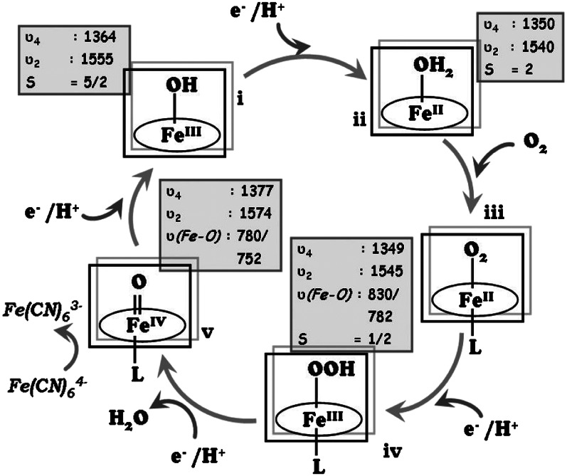 Fig. 7.