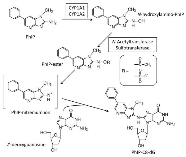 Scheme 1