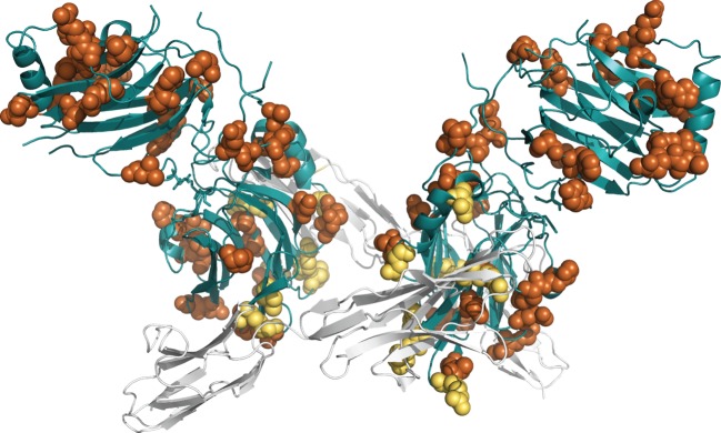 Figure 4.