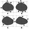 Fig. 12.