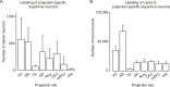 Figure 1—figure supplement 1.