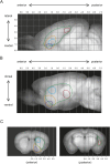 Figure 3—figure supplement 5.