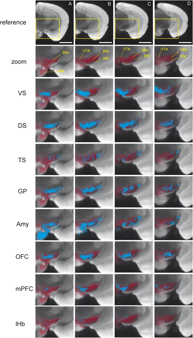 Figure 3—figure supplement 1.