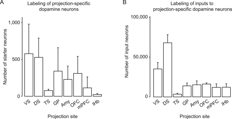 Figure 1—figure supplement 1.