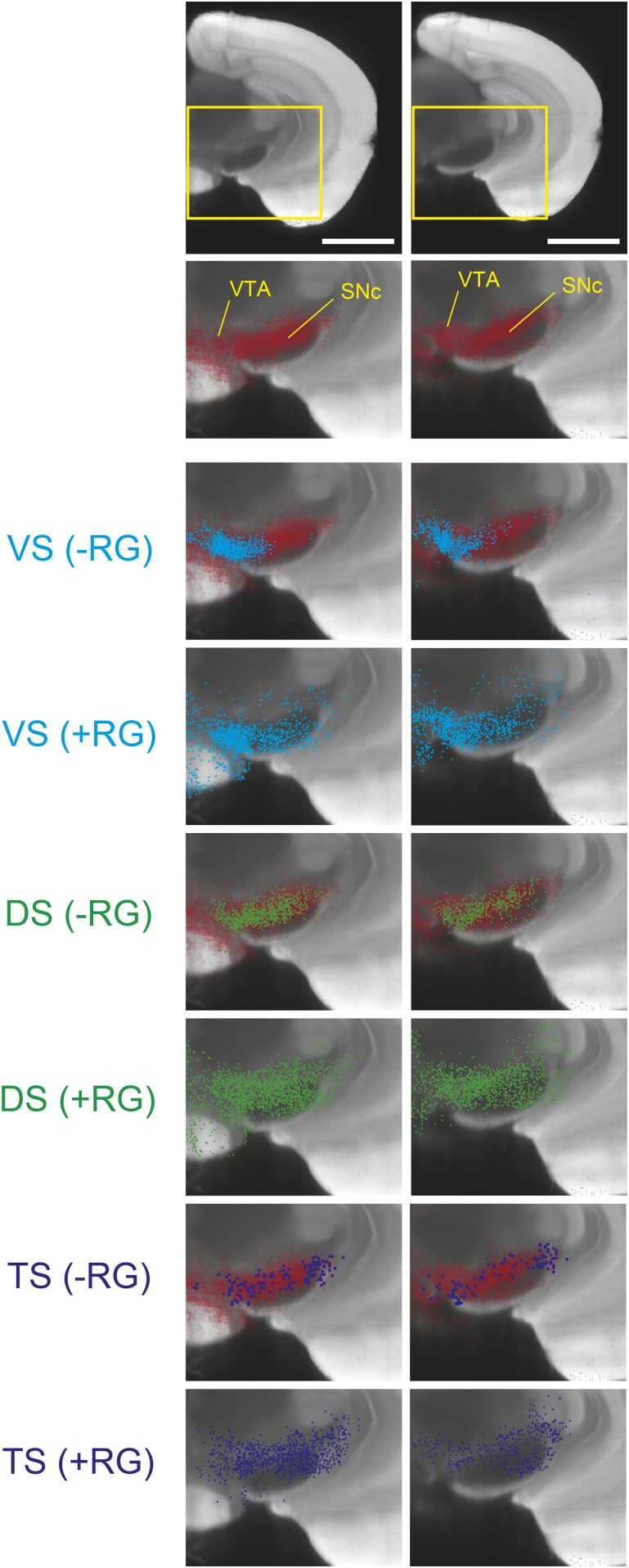 Figure 3—figure supplement 3.