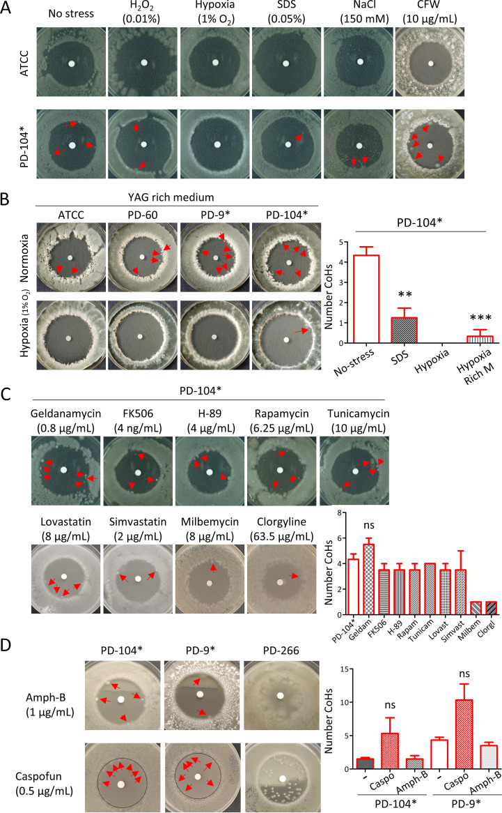 FIG 3