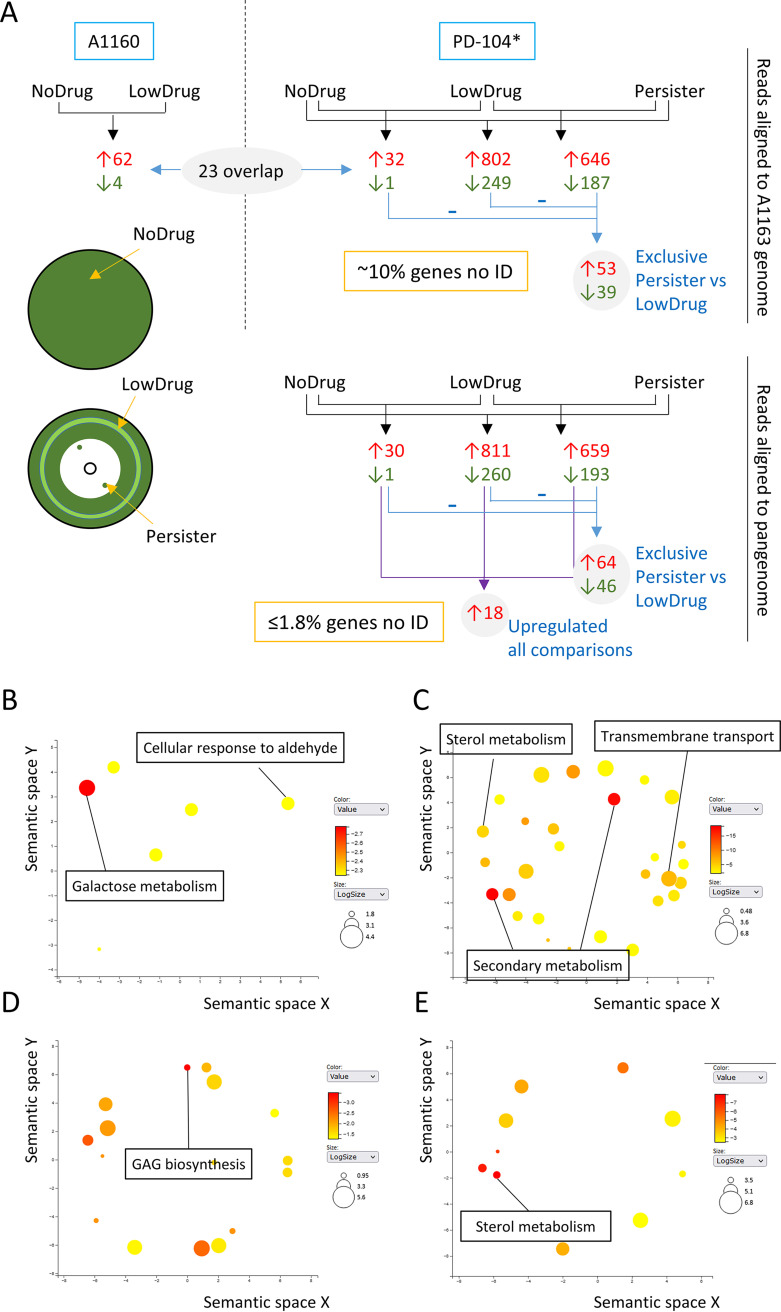 FIG 4