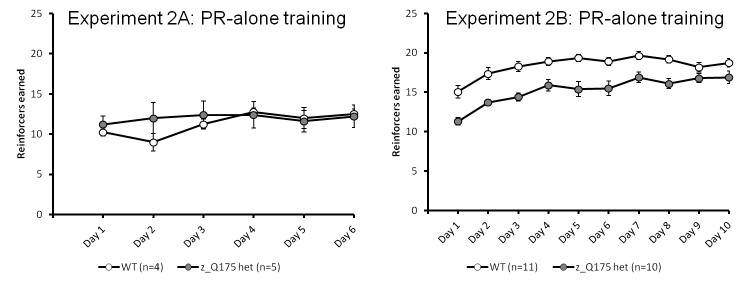 Number of reinforcers earned during progressive ratio training across sessions in Experiments 2A (left panel) and 2B (right panel)