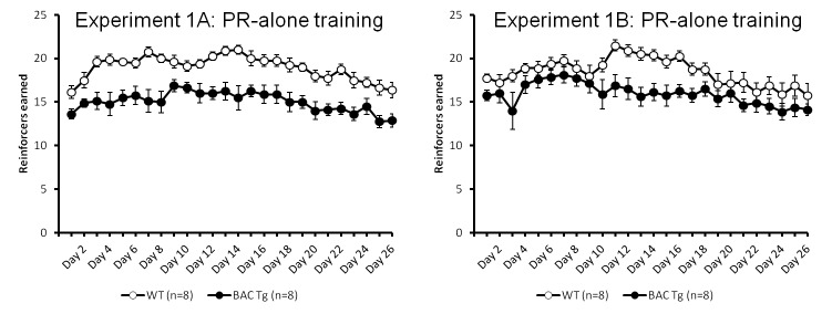 Number of reinforcers earned during progressive ratio training across sessions in Experiments 1A (left panel) and 1B (right panel)