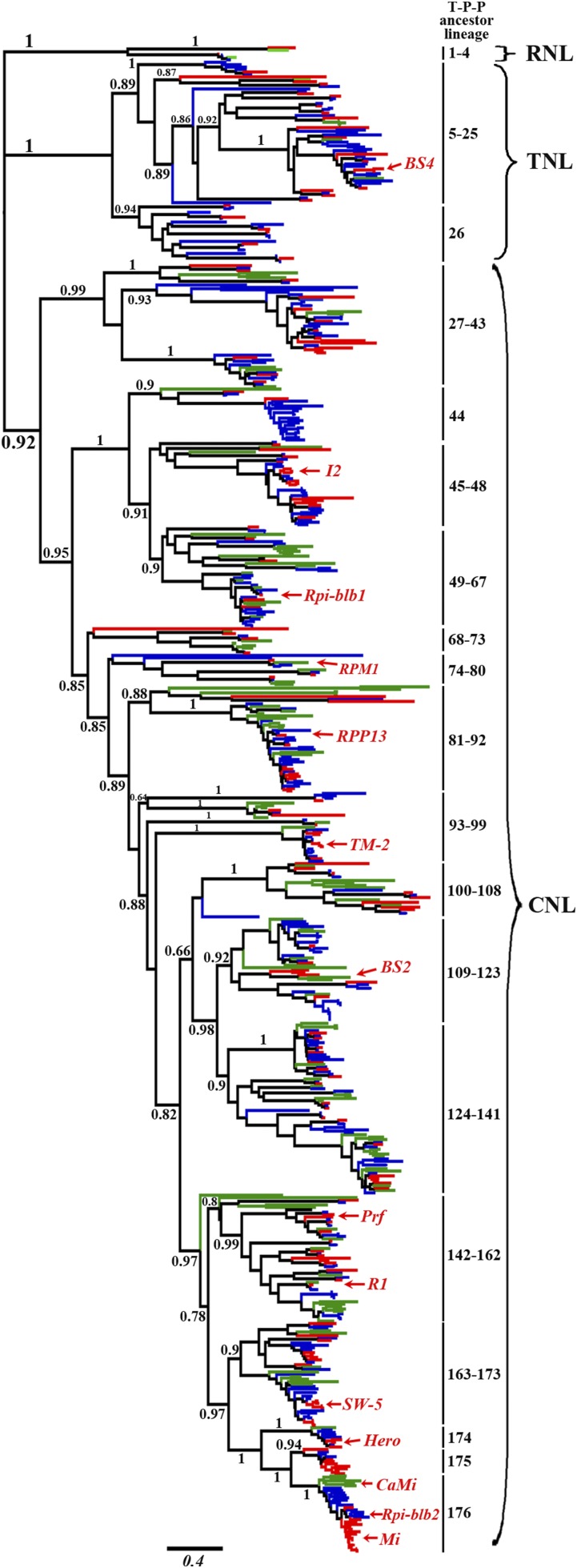 Figure 5