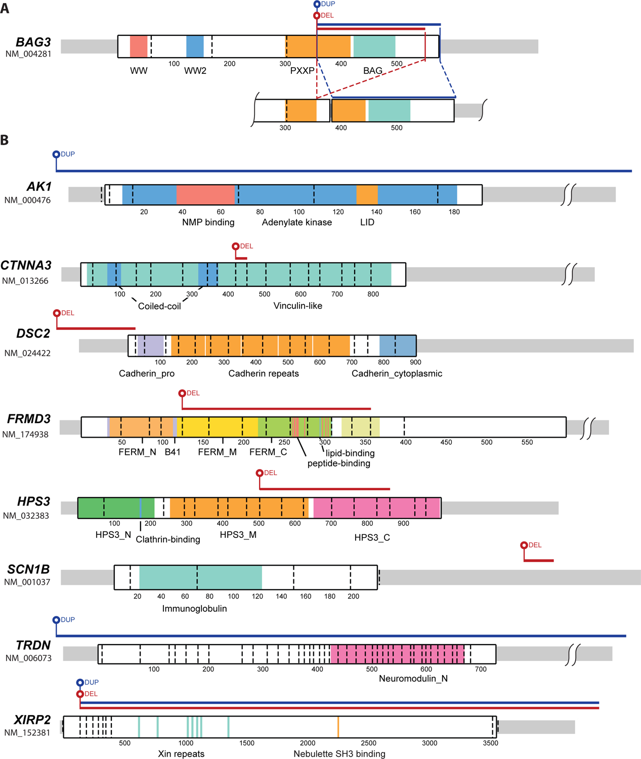 Figure 2.