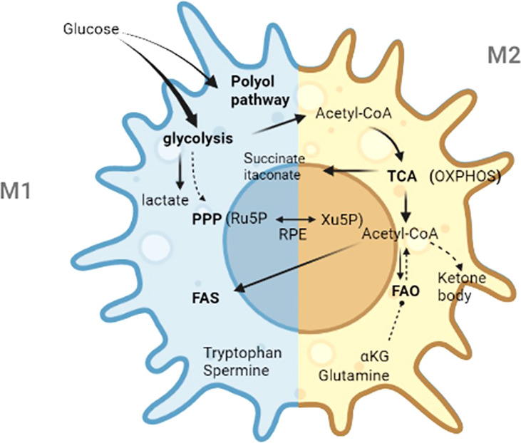 Figure 2