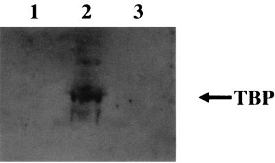 FIG. 8