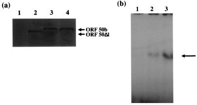 FIG. 5