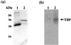 FIG. 9