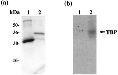 FIG. 9