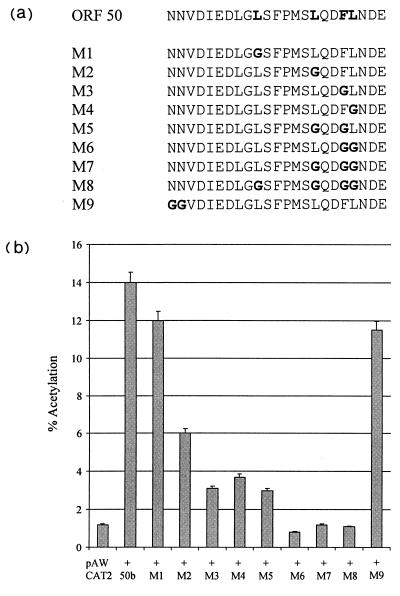 FIG. 6