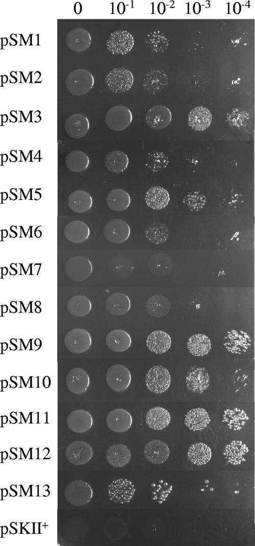 FIG. 3.