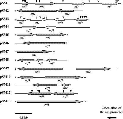 FIG. 4.