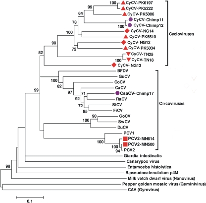 FIG. 3.