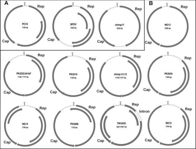 FIG. 2.