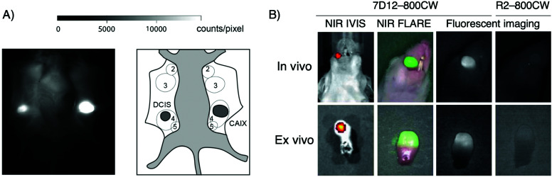 Fig. 10