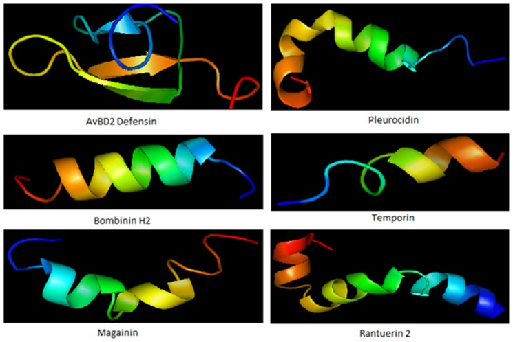 FIGURE 1