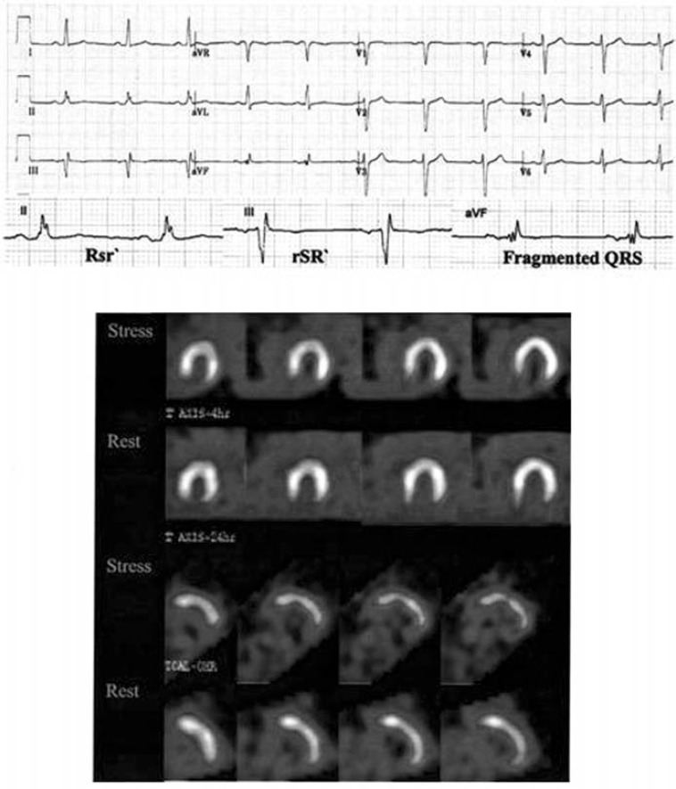 Fig. (4)