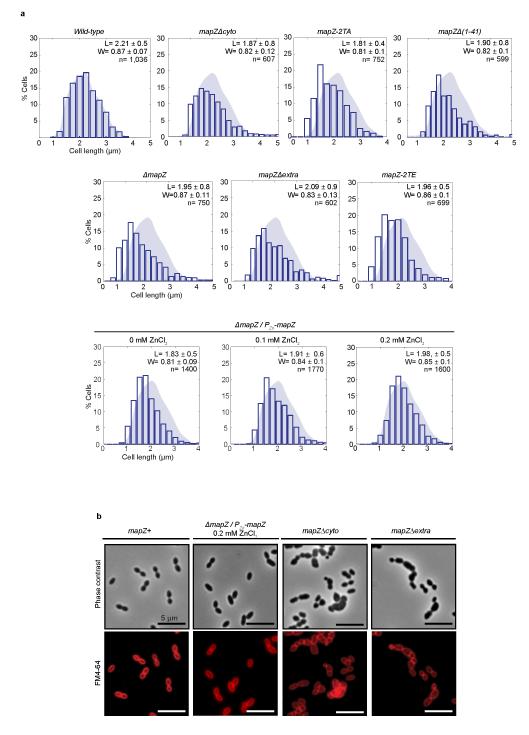 Extended Data Figure 1