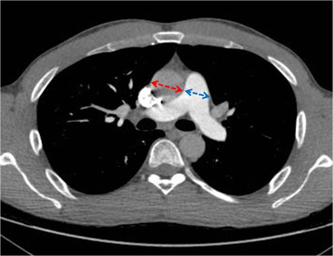 Figure 1