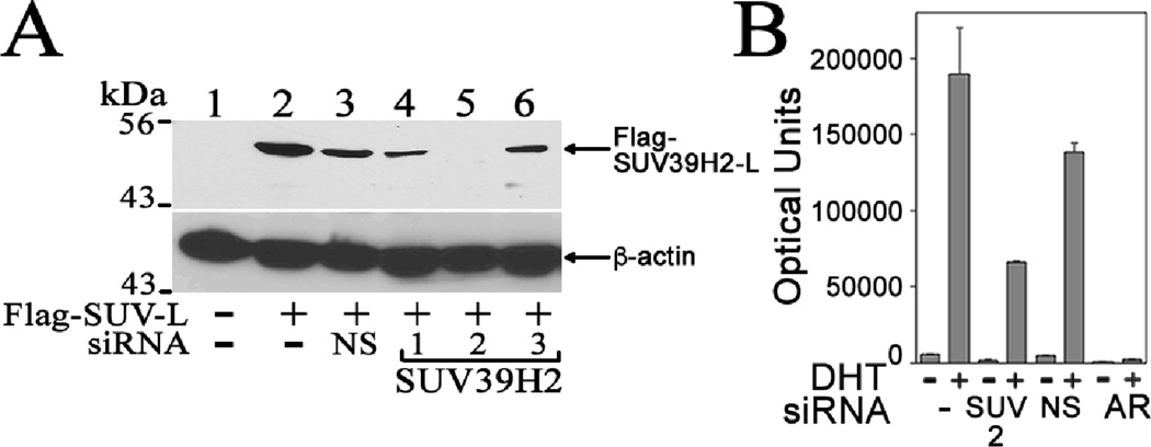 Figure. 9