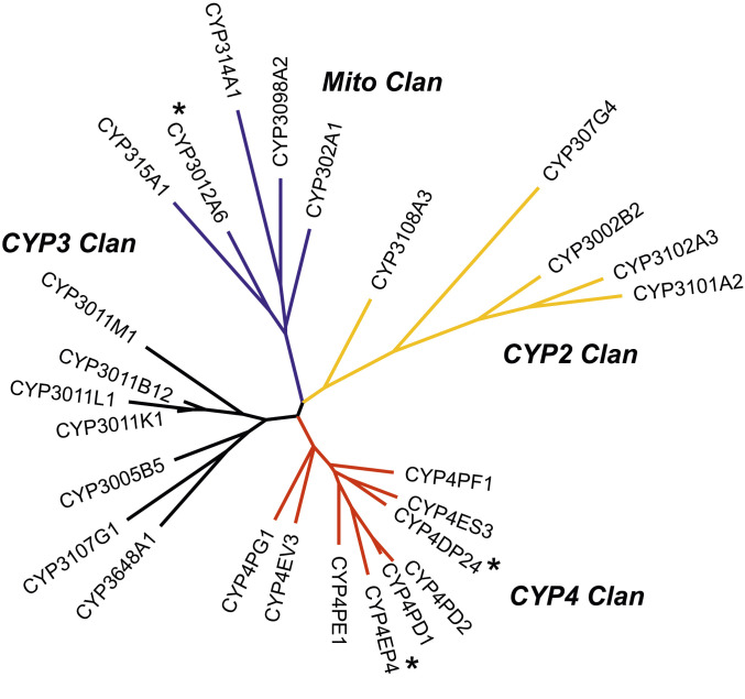 Fig. 3.