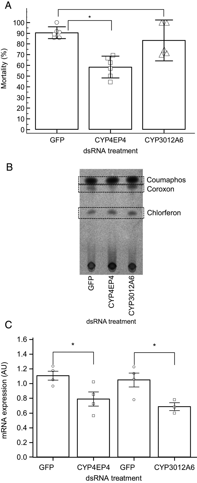 Fig. 4.